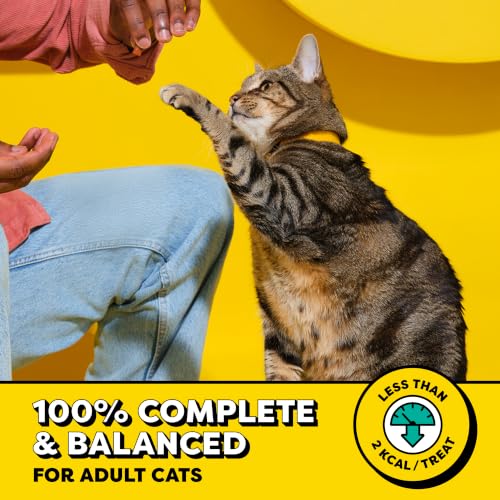 Temptations Classic Crunchy and Soft Cat Treats, Tasty Chicken, 30 oz | Under 2 calories per treat, crunchy outside & soft inside, resealable tub, 100% complete & balanced, snack, meal or topper