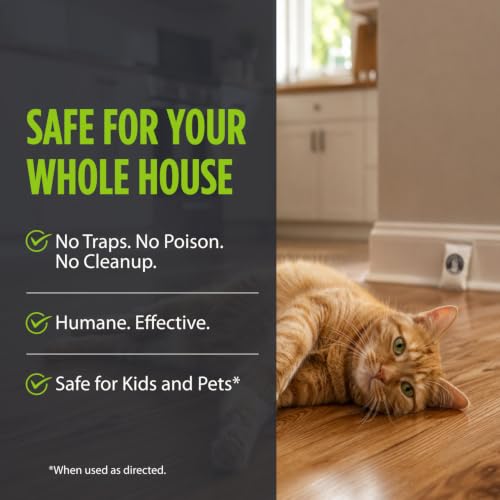 Grandpa Gus's Mouse Repellent Pouches, Peppermint & Cinnamon, Pack of 10 | Plant-Based, Natural Rodent Repellent and Nesting Prevention for Homes/Cabin/Garages/Storage/Vehicles, Kid & Pet Safe