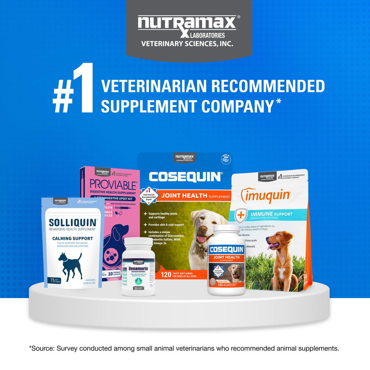 Nutramax Cosequin Joint Supplement for Dogs, Chewable Tablets, 132ct | Glucosamine + Chondroitin for Dogs with MSM, Supports Healthy Joints, All Breeds & Sizes, All Ages