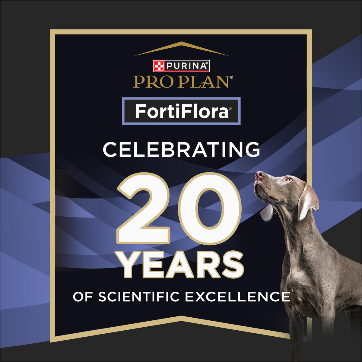 Purina Pro Plan Veterinary Supplements FortiFlora Dog Probiotic Supplement | FortiFlora Probiotic Supplement with strain of probiotics promotes intestinal health and can help management of diarrhea