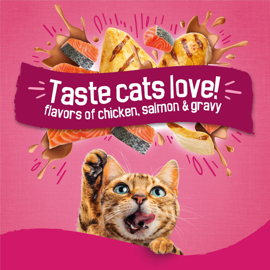 Purina Friskies Gravy Swirlers Dry Cat Food, Chicken & Salmon, 3.15 lb Bag | Protein-packed cat food kibble with swirls of delicious gravy baked in, supports immune and heart health