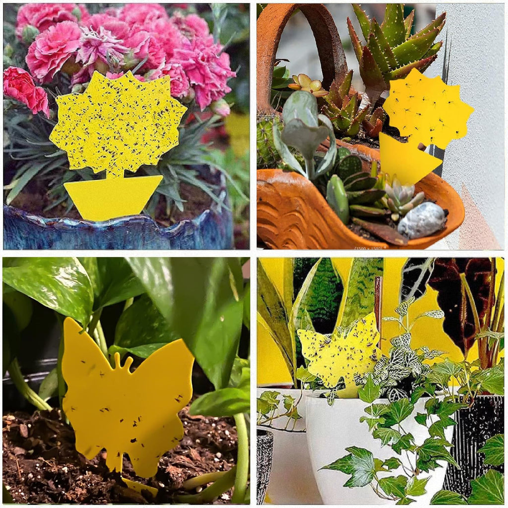 Cleanuper 58 Pack Yellow Sticky Gnat Traps for Plants - Fungus Gnat Killer, Fruit Fly Traps for Indoors, Gnat Sticky Traps for Plants, Family Friendly Design, Sunflower + Butterfly Shapes