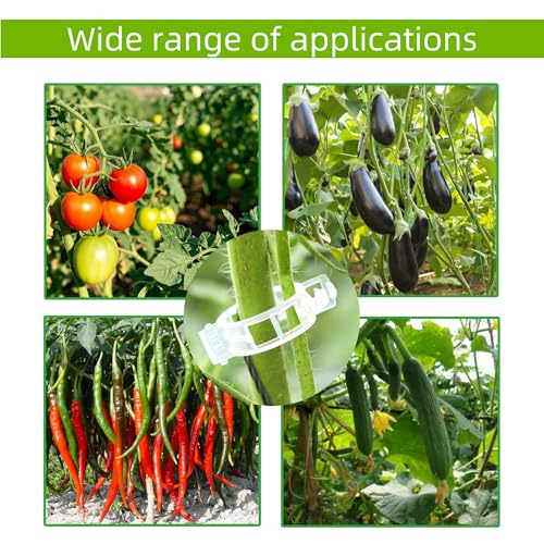 CIQIYO 100 Pcs Plant Support Clips,Plastic Clips for Securing Plants | Plant Fixing Clips,Tomato Vine Clips,Garden Clips for Climbing Plants,Grape and Vine Vegetables,Reusable(100, Green)