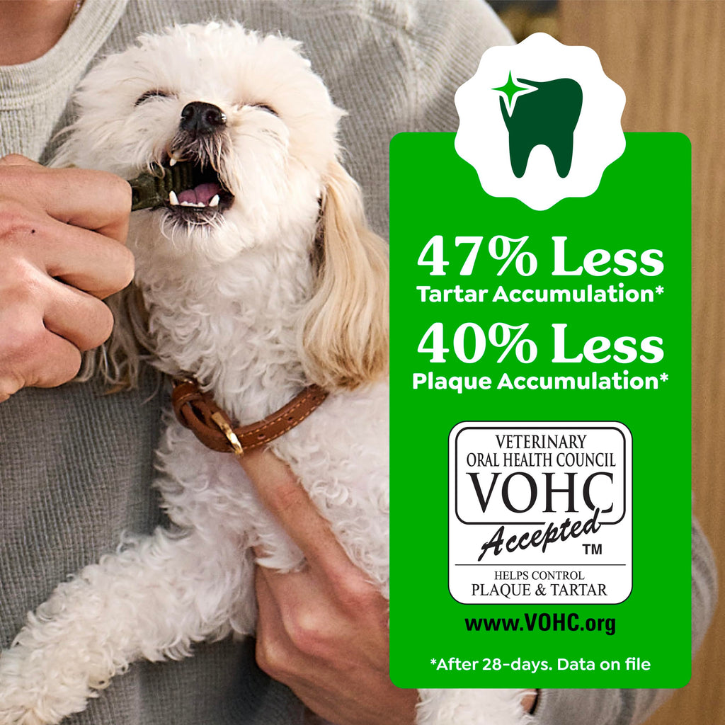 Greenies Large Natural Dental Dog Treats, Original Flavor, 24 Count | Veterinarian-recommended, supports oral health & freshens breath, clean to gumline, for dogs 50-100 lbs, chicken flavor