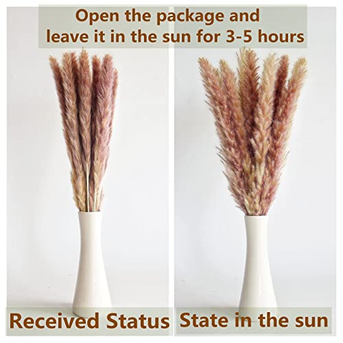 110 PCS of Boho Pampas Grass Decor, Naturally Dried Pompas, Bunny Tails Dried Flowers, and dried eucalyptus. Perfect for Weddings, Boho Party Decorations, and Table Decor.