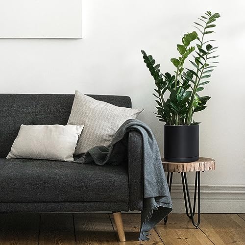 D'vine Dev Plastic Planter Pot with Saucer, 8 in, Black, 74-X-B-1 | Lightweight Matte Finish, Cylinder Shape, Drainage Holes, Sleek Minimalist Design, Detachable Saucer, Easy Maintenance