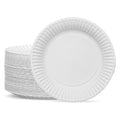 G4GADGET 100 Paper Plates 23cm - 9inch Paper, Disposable, Party