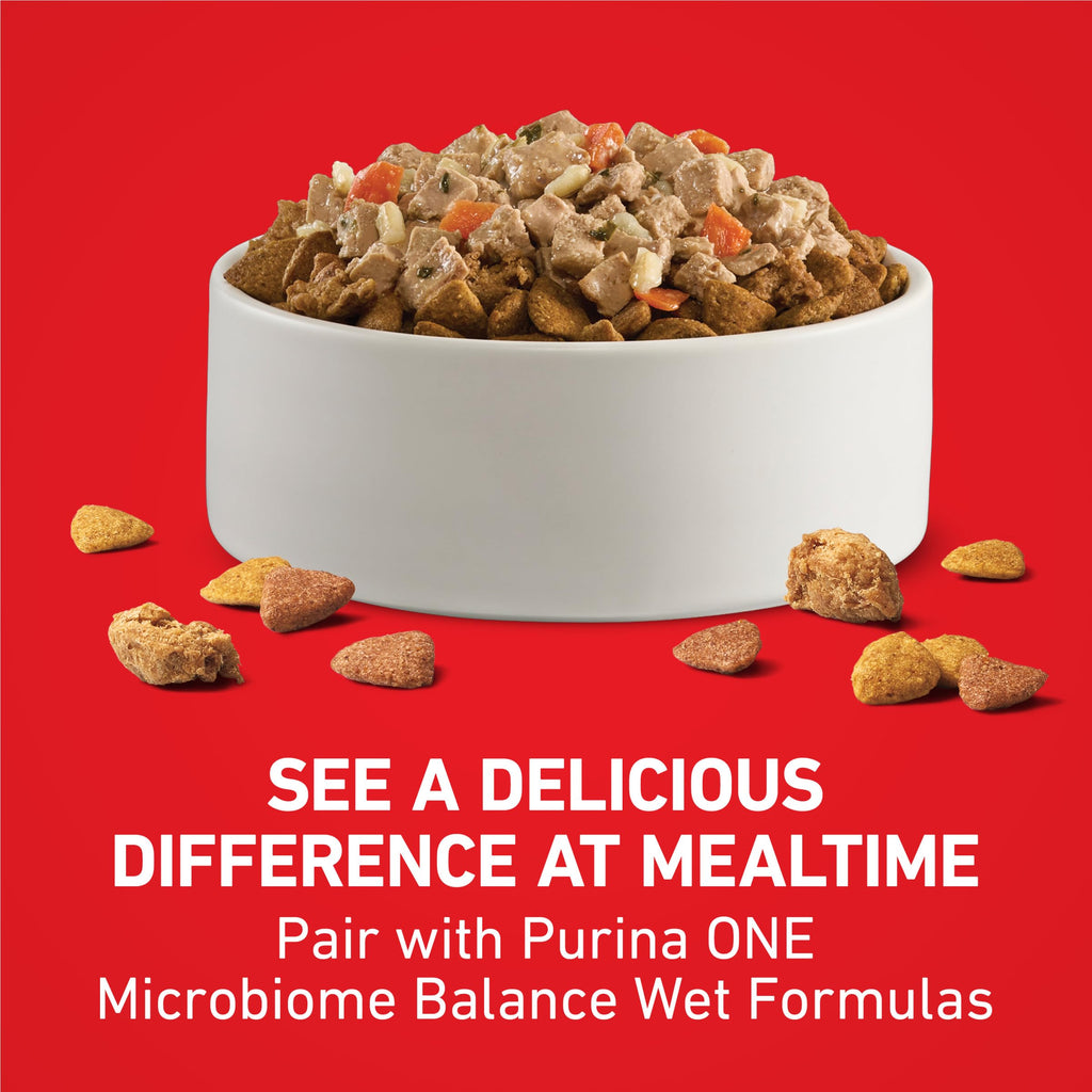 Purina ONE Lamb and Rice Formula Dry Dog Food for Digestive Support | Dog food with real lamb as first ingredient, Microbiome Balanced and prebiotic fiber, supports digestive health