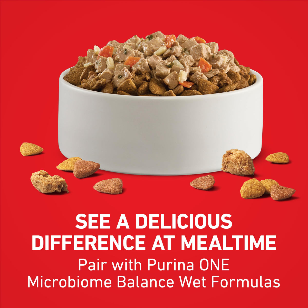 Purina ONE Lamb and Rice Formula Dry Dog Food for Digestive Support | Dog food with real lamb as first ingredient, Microbiome Balanced and prebiotic fiber, supports digestive health