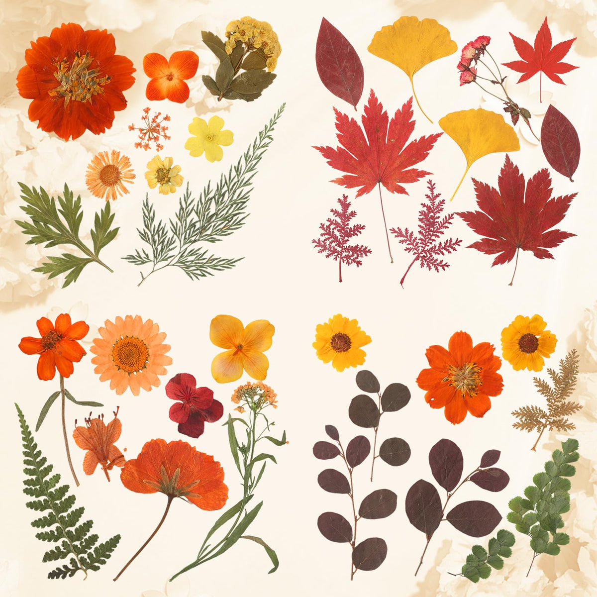 Augshy Fall Dried Pressed Flowers and Leaves for Autumn Crafts Resin DIY | Real Pressed Flowers, Ideal for Scrapbooking Candle Making,Autumn Foliage Colors,100 Pcs Craft Set