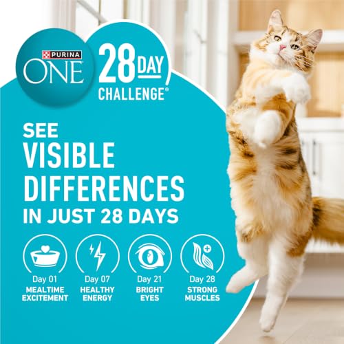 Purina ONE Tender Selects Dry Cat Food, Salmon, 7 lb Bag | Real salmon is the #1 ingredient made with carrots, peas, vitamins A and E for bright eyes, strong muscles and digestion
