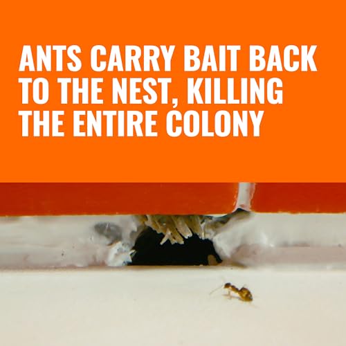 TERRO Liquid Ant Killer Bait Stations, 12-Pack, Indoor Ant Traps, T300B | Borax Formula, Kills the Queen & the Entire Colony, Liquid Ant Baits Indoor, Kills Household Ants, Indoor Use