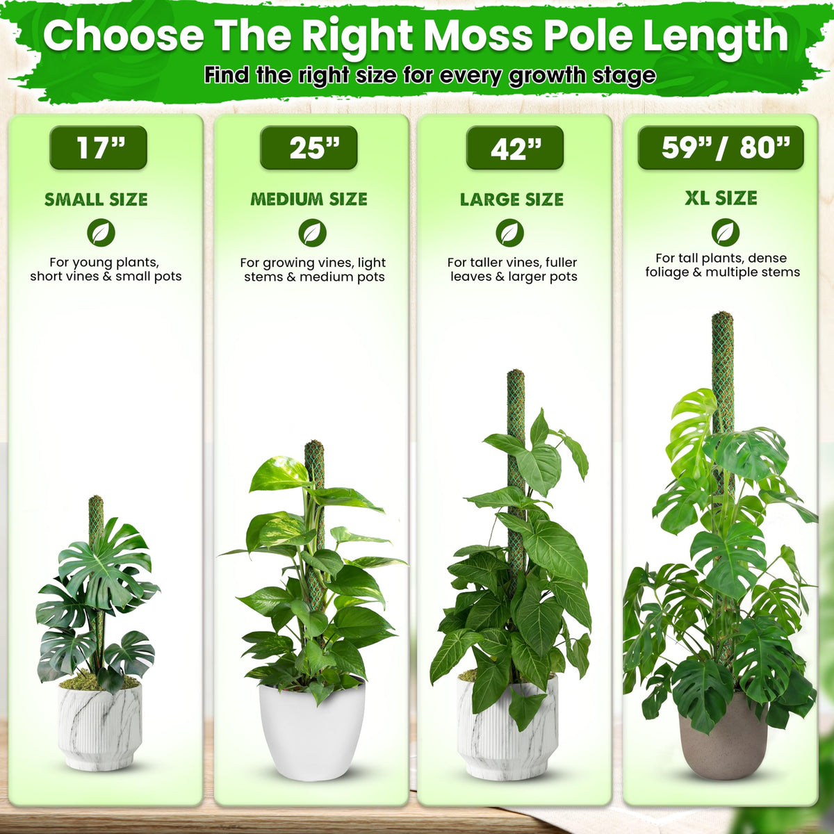 DUSPRO 2 Pack 25" Mesh Moss Pole for Climbing Plants, Pre-Made Moss Pole | Easy To Set Up & Natural Moss Pole Monstera Plant Support, Real Moss Poles for Plants Indoor, Moss Stakes for House Plants