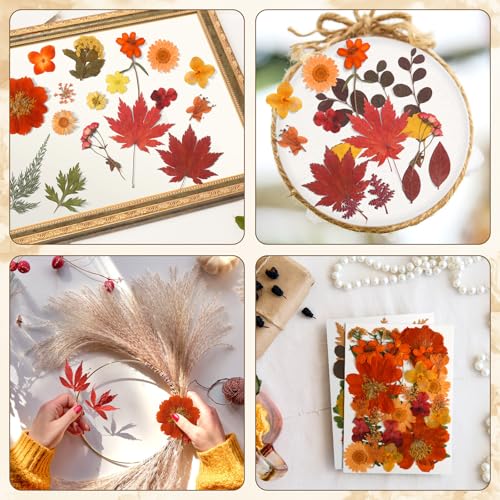 Augshy Fall Dried Pressed Flowers and Leaves for Autumn Crafts Resin DIY | Real Pressed Flowers, Ideal for Scrapbooking Candle Making,Autumn Foliage Colors,100 Pcs Craft Set