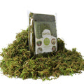 USMOLA Fake Green Moss for Potted Plants, 4OZ Artificial Moss for DIY Crafts, Faux Moss for Table Centerpieces Fairy Garden Decor (Fresh Green 140gr)