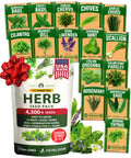 HOME GROWN 15 Herb Seed Variety Kit, 4300+ Seeds, Culinary Herb Kit | High Germination, Heirloom, Non-GMO | 4300+ Seeds | Indoor/Outdoor & Hydroponic | Culinary Herbs | Gardening Gift