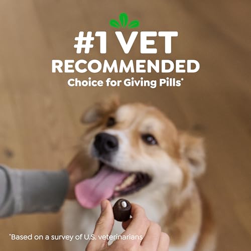 Greenies Pill Pockets Small Dog Treats, Chicken Flavor, 3.2 oz | Vet-recommended, masks pill smell & taste, easy pinch-close design, stress-free medicating, tablet size, 3.2 oz. Pouch