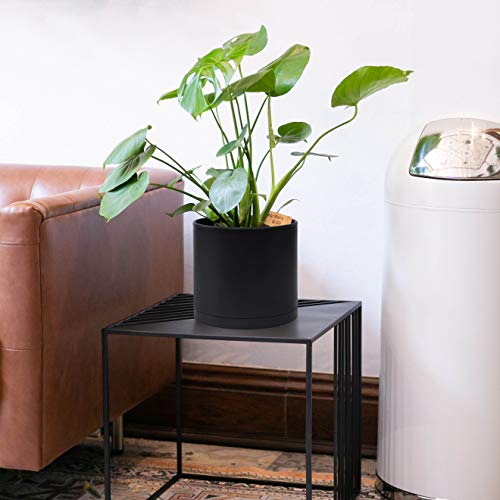 D'vine Dev Plastic Planter Pot with Saucer, 8 in, Black, 74-X-B-1 | Lightweight Matte Finish, Cylinder Shape, Drainage Holes, Sleek Minimalist Design, Detachable Saucer, Easy Maintenance