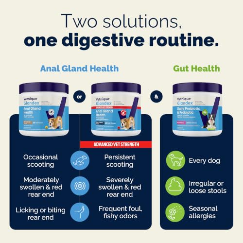Vetnique Glandex for Dogs Anal Gland Chews 60ct Pumpkin + Digestive Enzymes | Anal Gland Dog Treats, Boot the Scoot + Fishy Odor Support, Fiber, Probiotics, Quercetin + Apple Pectin, Peanut Butter
