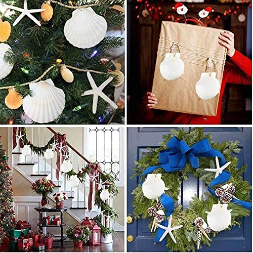 SEAJIAYI 10 PCS Large Scallop Shells 4-5 inch Natural White Scallop Shells from Sea Beach for DIY Craft Decor