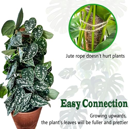 4 Pack 22 Inch Moss Poles, Stackable Moss Pole for Plants Monstera, 70 Inch Tall Moss Poles for Climbing Plants Indoor, Coir Totem Plant Support Stakes Stand for Potted Plants, Pothos