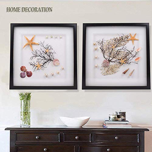 Natural Sea Shells Mixed Beach Seashells 9 Kinds 1.2"-3.5" 2 Kinds Starfish | Decorative Seashells for Bowls, Beach Themed Wedding Party, DIY Arts Crafts Project, Aquarium Fish Tank and Vase Filler