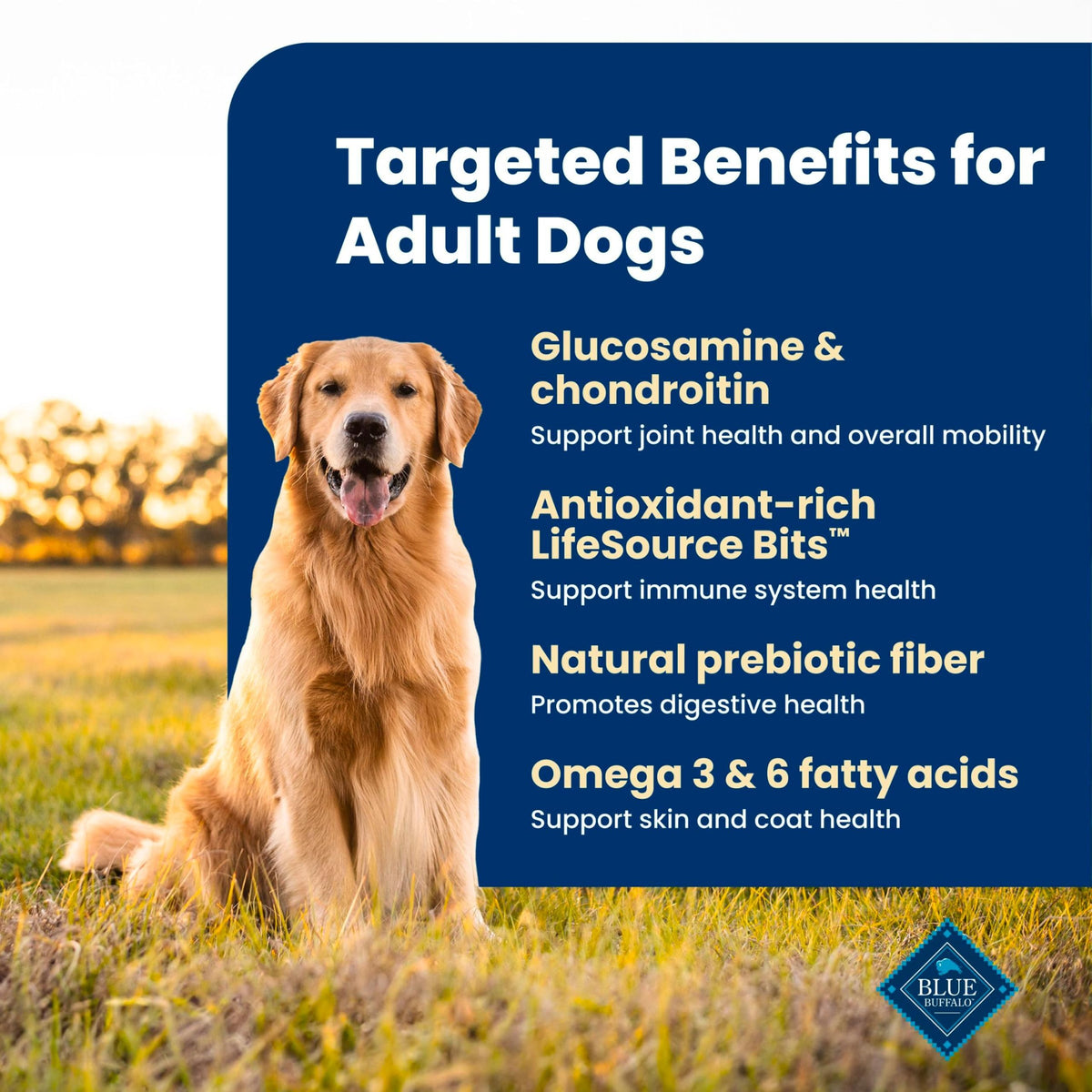 Blue Buffalo Life Protection Formula Chicken Adult Dry Dog Food, 5 lb | Real Chicken #1 Ingredient, Supports Immunity with Antioxidant-Rich LifeSource Bits, Promotes Healthy Muscle Development
