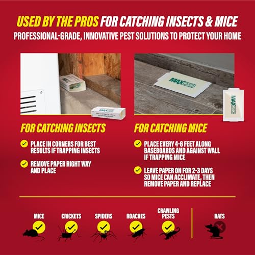 Catchmaster Max-Catch Glue Traps 36pk, Sticky Mouse Traps Indoor for Home | Bulk glue boards for mice & insects, pesticide-free sticky traps for spiders, crickets & roaches, home & garage pest control