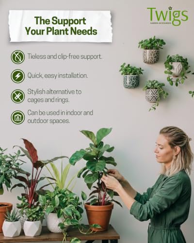 Stackable Monstera Plant Support Stakes, Monstera Dark Green, 5-Pack, 17" L | Made in USA, Natural-Looking Stem Support Stakes, Alternative to Moss Poles, Stackable Sticks for Monstera Plants up to 5ft