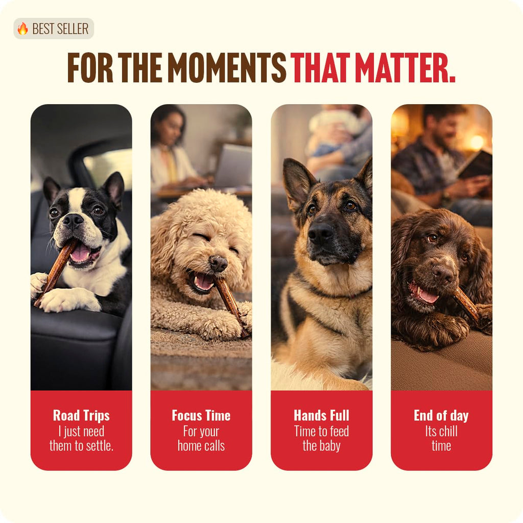 Natural Farm Odor-Free Bully Sticks for All Breeds, 6 Inch, 25 Count | Grass-Fed, Non-GMO, Grain-Free 100% Beef Pizzle. Single-Ingredient, Rawhide-Free, Fully Digestible, Long-Lasting