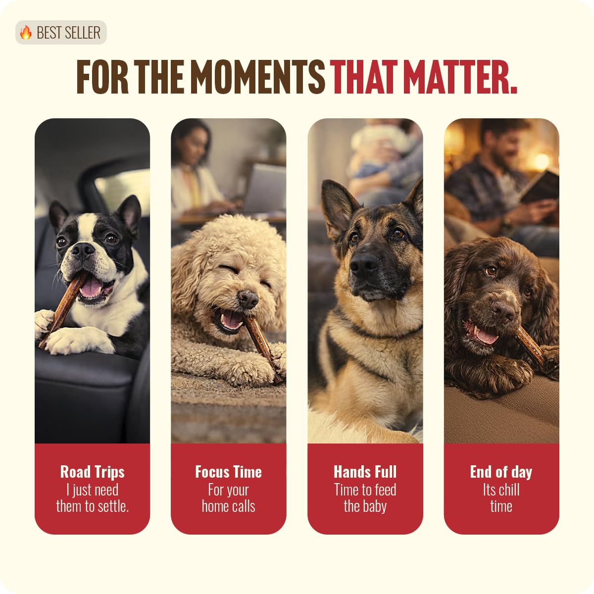 Natural Farm Odor-Free Bully Sticks for All Breeds, 6 Inch, 25 Count | Grass-Fed, Non-GMO, Grain-Free 100% Beef Pizzle. Single-Ingredient, Rawhide-Free, Fully Digestible, Long-Lasting