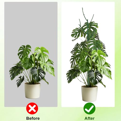 PERSZEN 6 Pack Stackable Monstera Plant Support, Plant Stakes for Indoor and Outdoor Plants Use, Garden Stakes for Climbing and Potted Plants, Pothos, Philodendron
