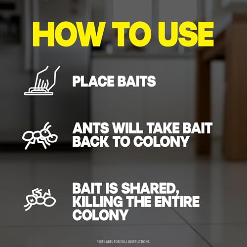 Raid Ant Killer Baits, For Household Use, Child Resistant, 8 Count | Kills the Colony, Keeps Killing Ants for Up to 3 Months, For Indoor Home Use