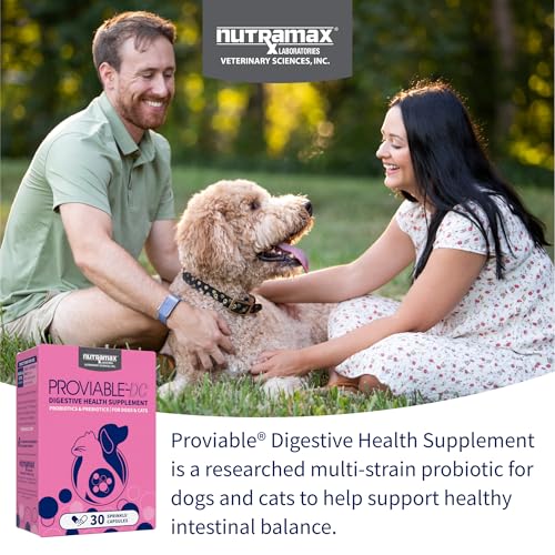 Nutramax Proviable Probiotics for Dogs & Cats, Sprinkle Capsules, 30ct | Probiotics for Cats and Dogs, Plus Prebiotics, Daily Gut Health Support Supplement, Multiple Strains, Sprinkle on Food