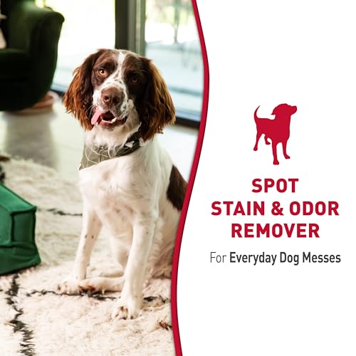 Nature’s Miracle Dog Stain & Odor Remover, Enzymatic Cleaner, 32 oz | Tough on Dog Urine, Feces, Vomit, Drool and Other Organic Stains and Odors, For Multiple Surfaces, Fresh Scent