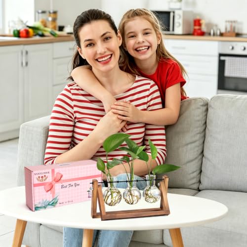 XXXFLOWER Plant Terrarium with Wooden Stand, Air Planter Bulb Glass Vase Metal Swivel Holder Retro Tabletop for Hydroponics Home Garden Office Decoration - 3 Bulb Vase