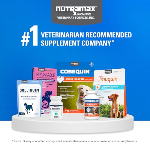 Nutramax Cosequin Joint Supplement for Dogs, Chewable Tablets, 132ct | Glucosamine + Chondroitin for Dogs with MSM, Supports Healthy Joints, All Breeds & Sizes, All Ages