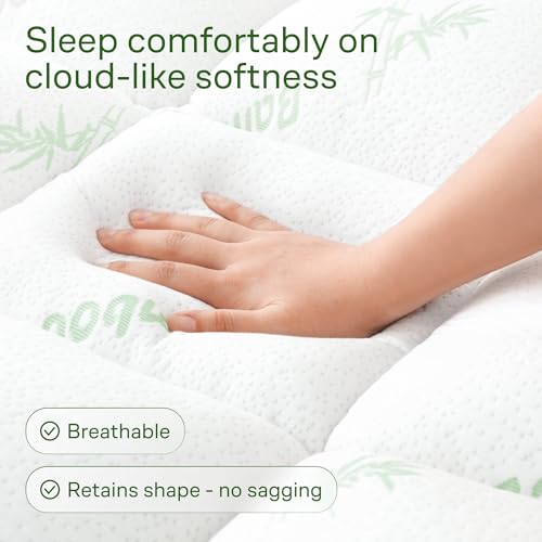 Niagara Sleep Solution Queen Ultra Soft Mattress Topper — Back Pain Relief | Rayon Derived from Bamboo, 20" Deep Pocket, Breathable Pillow Top Mattress Pad, Perfect for Hot Sleepers, Green