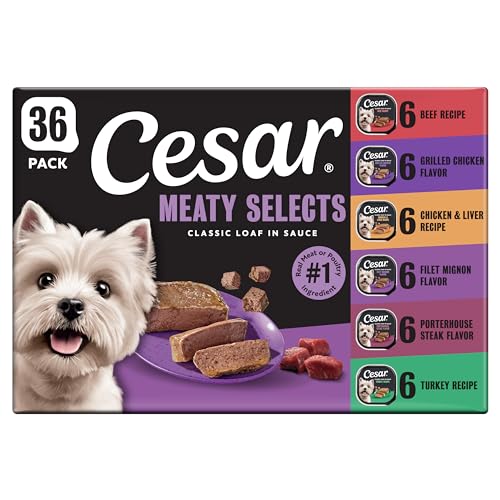 Cesar Classic Loaf in Sauce Wet Dog Food, Meaty Selects, 3.5 oz, 36 Count | Real meat #1 ingredient, no fillers or artificial flavors, formulated without grains, easy to digest, easy peel trays