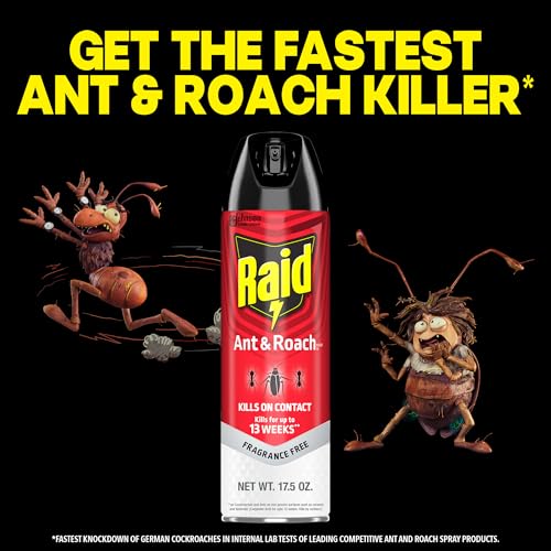 Raid Ant & Roach Killer Bug Spray, Fragrance Free, 17.5 oz, 2 Count | Kills Ants & Roaches on Contact, Keeps Killing For Up to 13 Weeks, For Home Use, No Lingering Chemical Odor