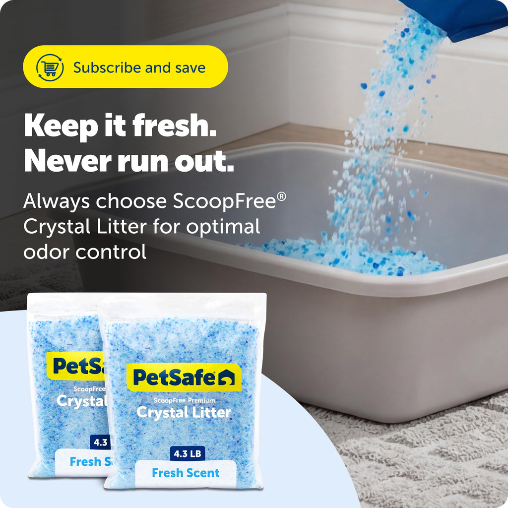 PetSafe ScoopFree Premium Crystal Litter, Fresh Scent, 4.3 Lb Bag, 2 Pack | Ultra-Absorbent Crystal Cat Litter, 5x Faster Odor Control, 99% Dust-Free, Low Tracking, Refills Any Cat Box or Tray