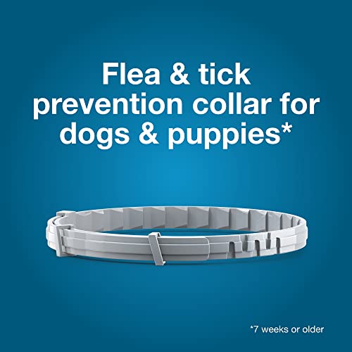 Seresto 8-Month Flea & Tick Collar for Large Dogs Over 18 lbs., 1ct
