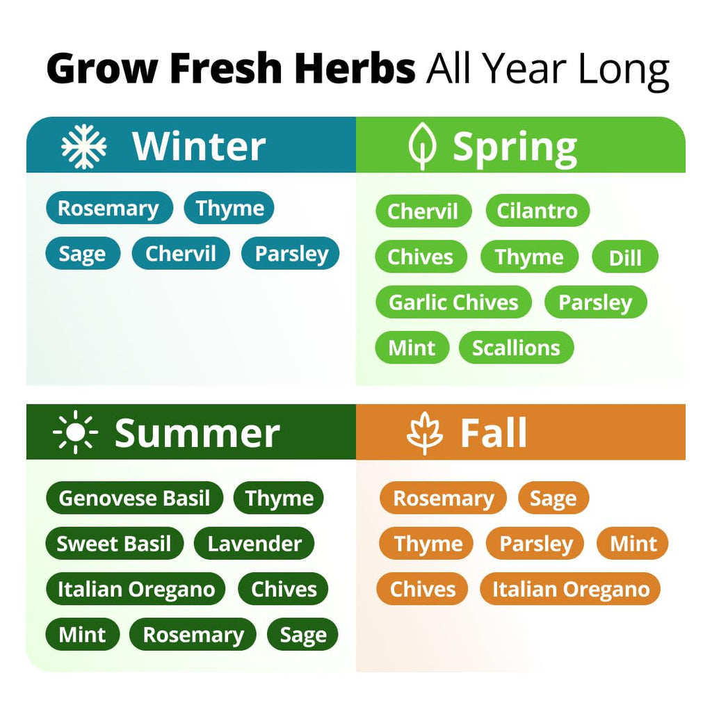 HOME GROWN 15 Herb Seed Variety Kit, 4300+ Seeds, Culinary Herb Kit | High Germination, Heirloom, Non-GMO | 4300+ Seeds | Indoor/Outdoor & Hydroponic | Culinary Herbs | Gardening Gift