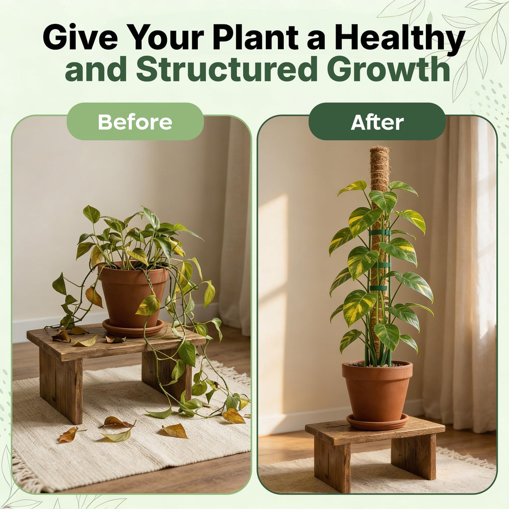 4 Pack 16" Moss Pole Monstera Plant Support - Stackable up to 48" | Plant Stakes for Indoor Climbing Plants Potted - Tall Coco Coir Pole Sticks & Accessories for Monstera, Pothos & Philodendron
