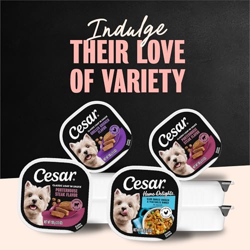 Cesar Classic Loaf in Sauce Wet Dog Food, Meaty Selects, 3.5 oz, 36 Count | Real meat #1 ingredient, no fillers or artificial flavors, formulated without grains, easy to digest, easy peel trays