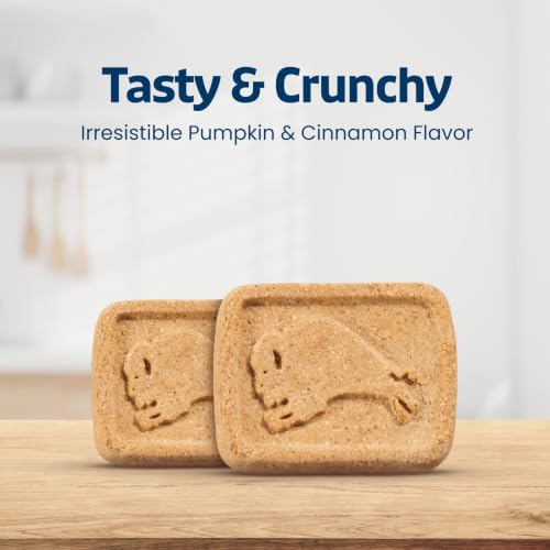 Blue Buffalo Health Bars Pumpkin & Cinnamon Dog Biscuits, 16 oz | Oven-Baked, Crunchy Texture, No Chicken By-Product, Corn, Wheat, or Soy