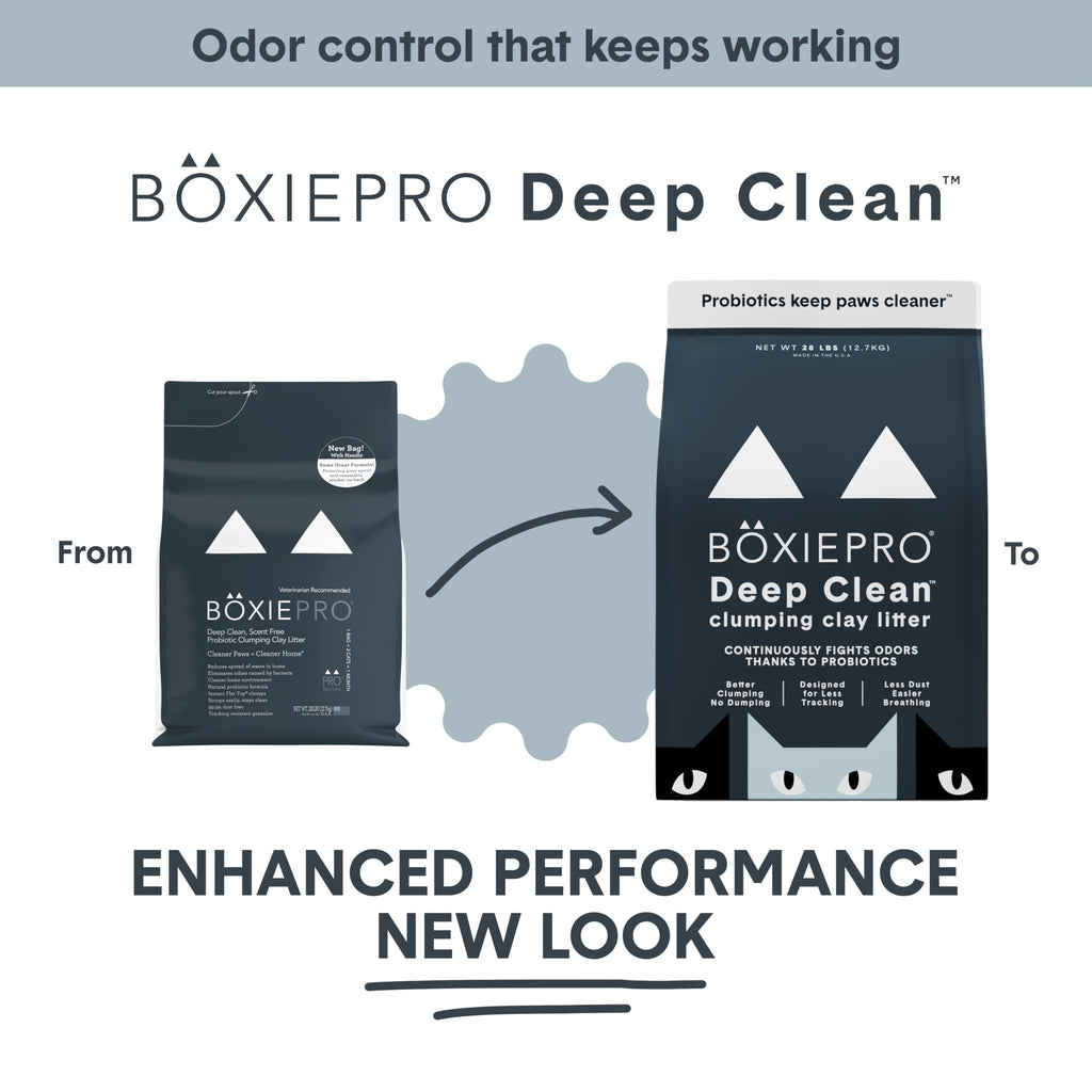 Boxie Probiotic Clumping Cat Litter 40+ Day Odor Control Dust Free 16 lb | Hard Flat Top clumps stay on top for fast scooping and less scrubbing; no added fragrance, fillers, or harsh chemicals