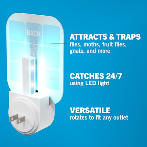 Safer Home Flying Insect Trap, Plug-In Fruit Fly Trap for Indoors, 1-Pack | Flying Insect, Moth, & Gnat Trap, Fruit Fly Killer, Fly Catcher, 24/7 Catch, Chemical-Free, 1 Trap + 2 Glue Cards, SH502