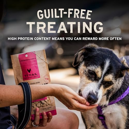 Vital Essentials Freeze Dried Dog Treats, Beef Liver, 2.1 oz Bag | Single Ingredient, Made With 100% Beef Liver, Grain-Free Training Treats, USA Made with U.S. & Globally Sourced Ingredients