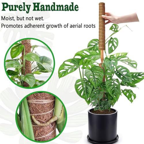 4 Pack 22 Inch Moss Poles, Stackable Moss Pole for Plants Monstera, 70 Inch Tall Moss Poles for Climbing Plants Indoor, Coir Totem Plant Support Stakes Stand for Potted Plants, Pothos